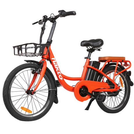 NAKTO Pony 20