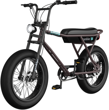 Razor Rambler 20 Electric Bike Parts