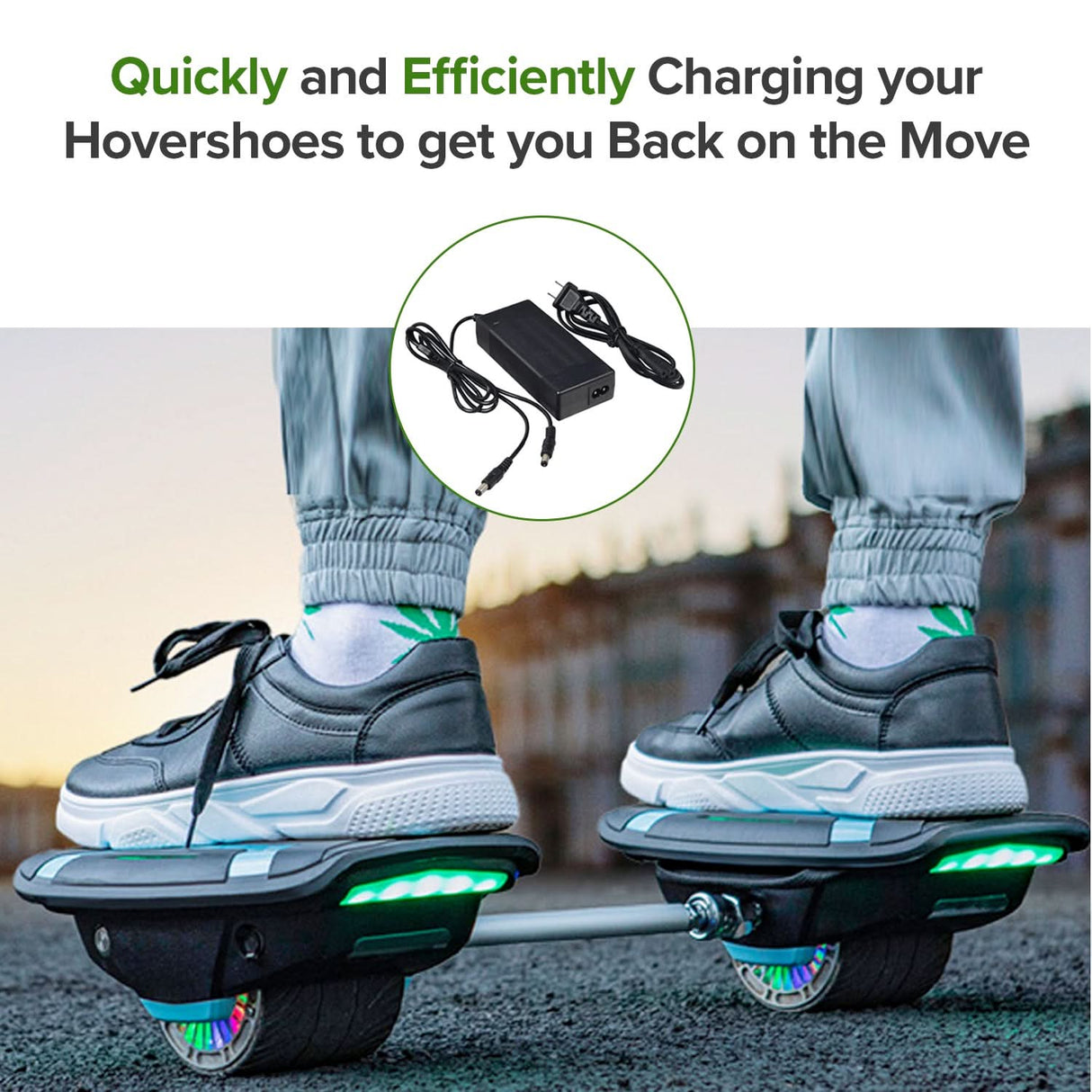 29.4V 2.0A Lithium Battery Charger with Dual Coaxial Output for Hovershoes