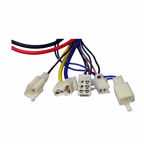 24 Volt 250 Watt Controller for the Motovox MBxXSe Micro-Mini Bike
