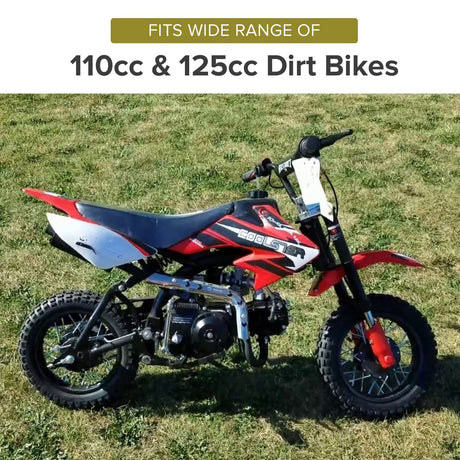 Rear Foot Brake, Disc, Pads, & Master Cylinder Assembly for 110cc & 125cc Dirt Bikes