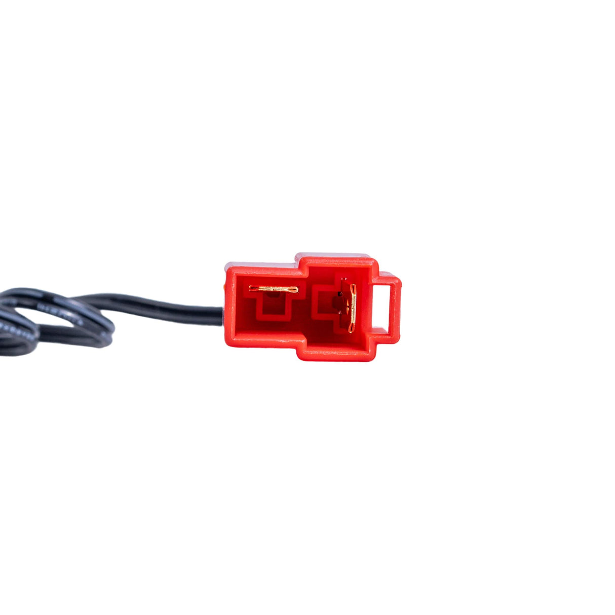 12 Volt 1.0 Amp Square End Battery Charger for Ride-On Toys