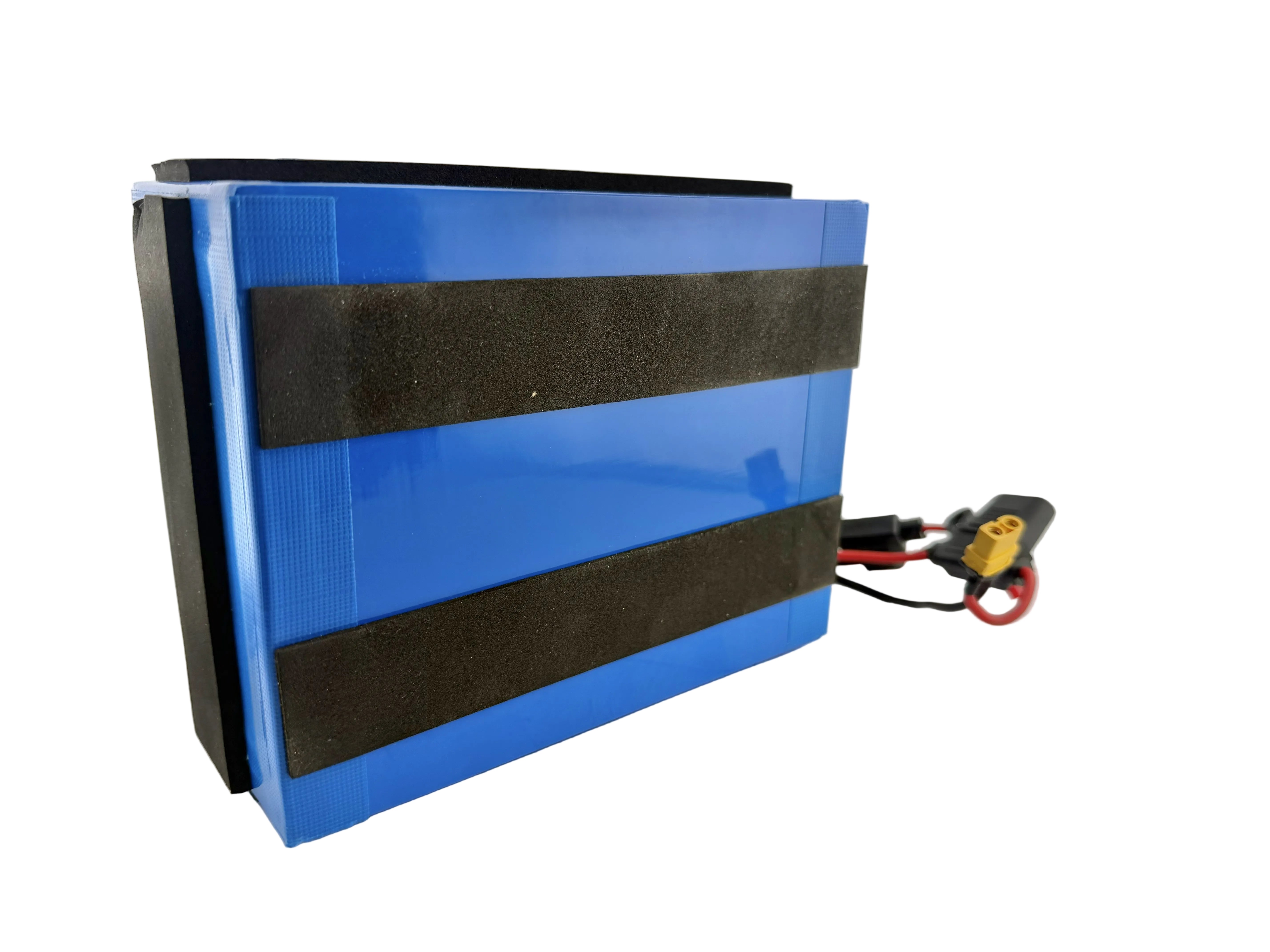 48 Volt 10.4 Ah Li-Ion Battery Pack for the Caroma P5