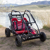 Carburetor with 24 mm Air Intake for 163cc 5.5 Hp & 196cc 6.5 Hp Baja Go-Kart Engines, shown on a go-kart parked on a dirt path near a body of water.