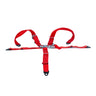 5-Point Seat Belt for Go-Karts with red straps, metal clasps, and a latch and link connector, ensuring secure attachment for both shoulders and floor.