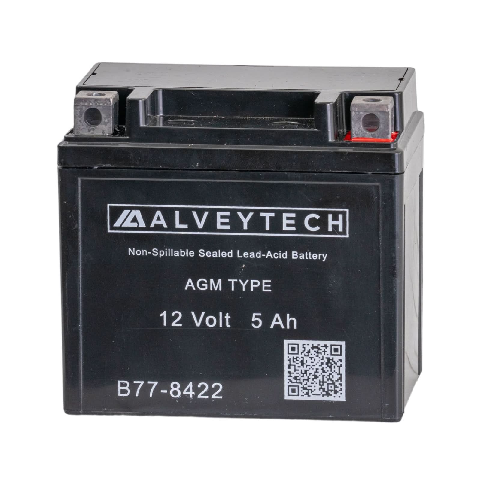 12 Volt YTX5L AGM Battery for Coleman AT125-B, AT125-EX, AT125-UT, & TaoTao Raptor 200 ATVs