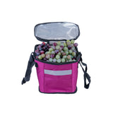 Insulated Front Basket Bag for Mobility Scooters filled with grapes, showcasing its spacious and versatile storage capacity.