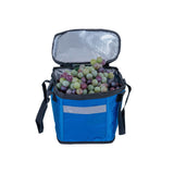 Insulated Front Basket Bag for Mobility Scooters filled with grapes, showcasing its spacious, zippered main compartment ideal for storing various items securely.
