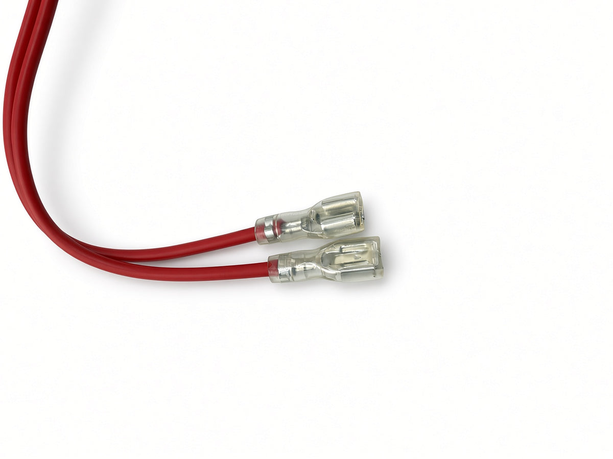Controller for the Razor Indian eFTR Youth Mini (Versions 1+)