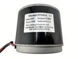 Label on Hiboy DK1 motor: model ZY1016, 36V DC, 300W, 2750 RPM, 11.1A rated current