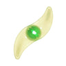 LED Spoke Light for Bikes & Scooters showing a green and yellow light clipped onto the spokes, enhancing visibility and safety with three lighting modes.